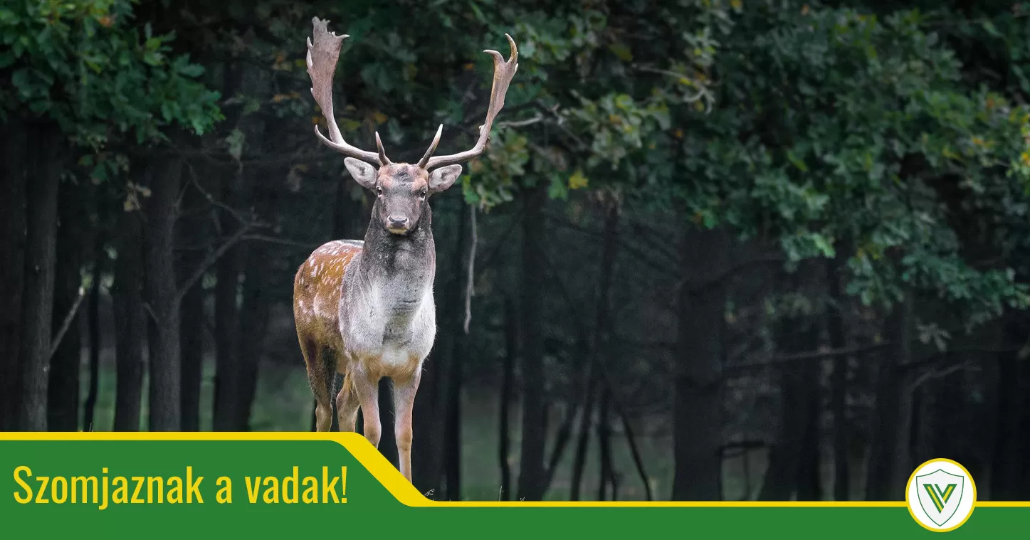 Do wild animals destroy in their thirst?