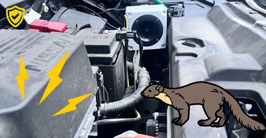 Ako veľmi majú kuny rady elektromobily?